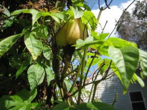 IMG_5346.jpg